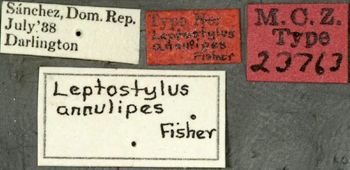 Media type: image;   Entomology 23763 Aspect: labels